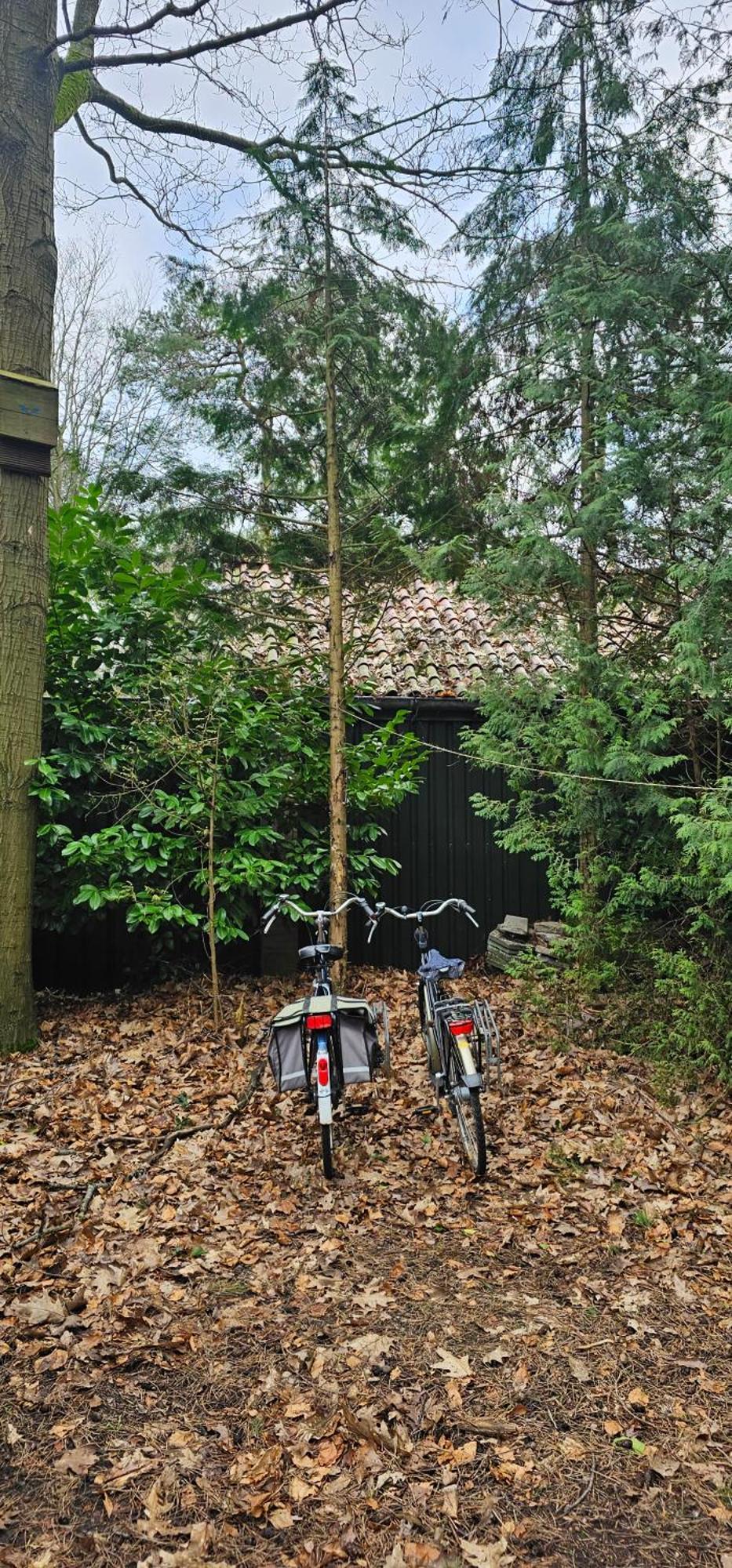 Dennenhuis Vaassen エクステリア 写真