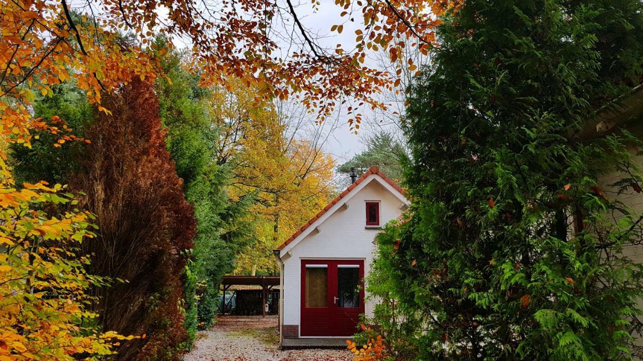 Dennenhuis Vaassen エクステリア 写真
